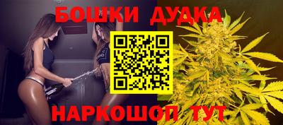 гашик Новодвинск