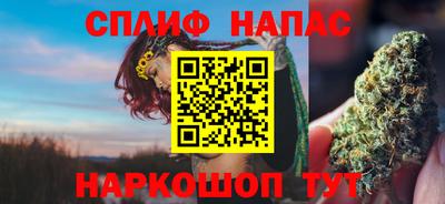гашик Новодвинск
