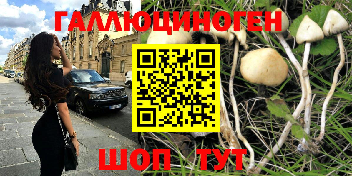 Галлюциногенные грибы Cubensis  Галлюциногенные грибы Psilocybine cubensis  Вход с VPN  Советский 