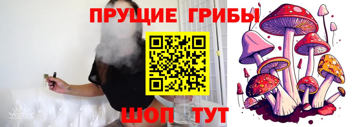 Псилоцибиновые грибы Cubensis Советский